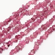 Chips Natural Tourmaline Beads Strands, 3~8x3~12x3~5mm, Hole: 1mm, about 16 inch(G-N0164-29)
