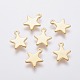 304 Stainless Steel Charms(X-STAS-L234-069G)-1