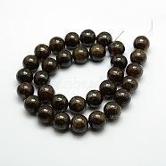 Round Natural Bronzite Beads Strands, Coffee, 10mm, Hole: 1mm; about 39pcs/strand, 15.3inches(G-P059C-01)