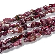 Natural Red Tourmaline Beads Strands, Nuggets, Tumbled Stone, 5~8.5x5.5~7x3.5~4mm, Hole: 0.7mm, about 64pcs/strand, 16.34''(41.5cm)(G-G018-33)
