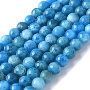 Natural Apatite Beads Strands, Grade AB, Round, Grade AB, 6mm, Hole: 1mm, about 68pcs/strand, 14.9 inch(38cm)(G-I254-08H)