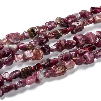 Natural Red Tourmaline Beads Strands, Nuggets, Tumbled Stone, 5~8.5x5.5~7x3.5~4mm, Hole: 0.7mm, about 64pcs/strand, 16.34''(41.5cm)