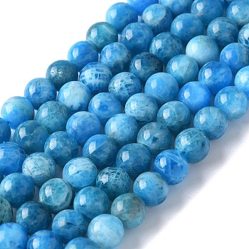 Natural Apatite Beads Strands, Grade AB, Round, Grade AB, 6mm, Hole: 1mm, about 68pcs/strand, 14.9 inch(38cm)