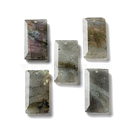 Natural Labradorite Pendants, Faceted Rectangle Charms, 25x13x4~4.5mm, Hole: 1mm(G-G063-01I)