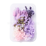Dried Flowers, DIY Candle Soap Making Accessories, with Plastic Rectangle Box, Purple, 7.6~15x1~11.2cm(X-DIY-D052-11)
