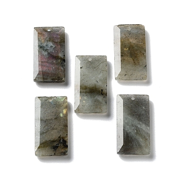 Natural Labradorite Pendants, Faceted Rectangle Charms, 25x13x4~4.5mm, Hole: 1mm