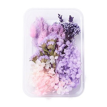 Dried Flowers, DIY Candle Soap Making Accessories, with Plastic Rectangle Box, Purple, 7.6~15x1~11.2cm