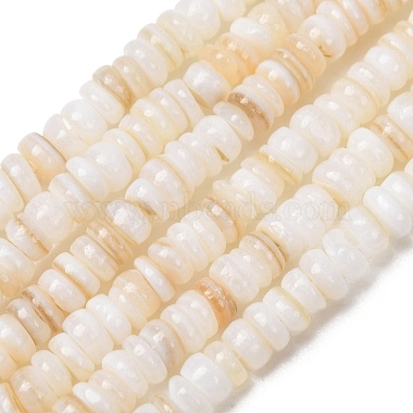 Natural Freshwater Shell Beads Strands(SH-CBA2978-05A)-1