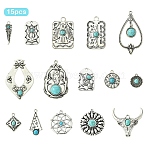 15Pcs 15 Styles Synthetic Turquoise Pendants, with Alloy Findings, Mixed Shapes, Antique Silver, 18~55x15.5~30.5x3~7.5mm, Hole: 1.8~3.8mm, 1pc/style(FIND-YW0006-28)