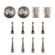 DIY Bolo Tie Jewelry Making Finding Kit, Including Iron Bolo Tie Slide Clasp, Zinc Alloy Slide Clasp & Cord Ends, Cone & Star Shape, Antique Silver & Platinum, 12Pcs/box(DIY-CA0005-42AS)