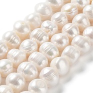 Natural Cultured Freshwater Pearl Beads Strands, Potato, Grade AB, Antique White, 9~11x10~11mm, Hole: 0.5mm, about 35pcs/strand, 14.41''(36.6cm)(PEAR-E019-10)