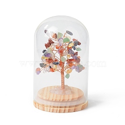 Natural Gemstone Chips Money Tree in Dome Glass Bell Jars with Wood Base Display Decorations, for Home Office Decor Good Luck, 71x114mm(DJEW-B007-04E)