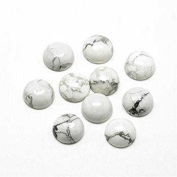 Natural Howlite Cabochons, Half Round/Dome, 14x5~6mm