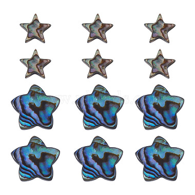 12Pcs 2 Styles Natural Abalone Shell/Paua Shell Beads(SHEL-TA0001-40)-2