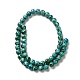 Synthetic Turquoise Dyed Beads Strands(G-E594-24H)-2