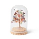 Денежное дерево из натуральных драгоценных камней в купольных стеклянных колокольчиках с украшениями на деревянной основе(DJEW-B007-04E)-1