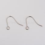 Tarnish Resistant 316L Surgical Stainless Steel Earring Hooks, Ear Wire, with Horizontal Loop, Stainless Steel Color, 19x15mm, Hole: 2mm, 21 Gauge, Pin: 0.7mm(STAS-G229-08P-01)