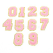 Cloth Iron on/Sew on Patches, Costume Accessories, with Adhesive Back, Appliques, for Backpacks, Clothes, Number 0~9, Pink, 80~81x37~58x3mm, 10pcs/set(DIY-TAC0009-05)