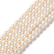 Natural Pearl Beads Strands, Round, Grade 5A, WhiteSmoke, 5.5~6x5.5~6mm, Hole: 0.7mm, about 72pcs/strand, 15.63 inch(39.7cm)(PEAR-E018-75)
