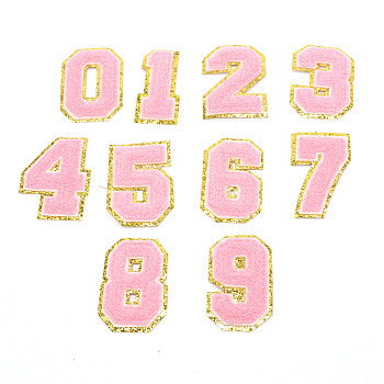 Cloth Iron on/Sew on Patches, Costume Accessories, with Adhesive Back, Appliques, for Backpacks, Clothes, Number 0~9, Pink, 80~81x37~58x3mm, 10pcs/set