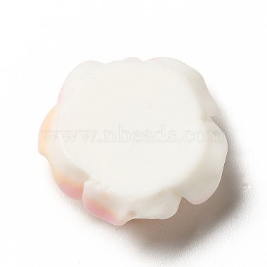 Gradient Color Opaque Resin Cabochons(CRES-D005-A01)-2