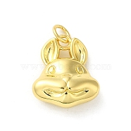 Brass Charms, with Jump Ring, Real 14K Gold Plated, Rabbit, 14x12x5mm(KK-D095-01B-G)