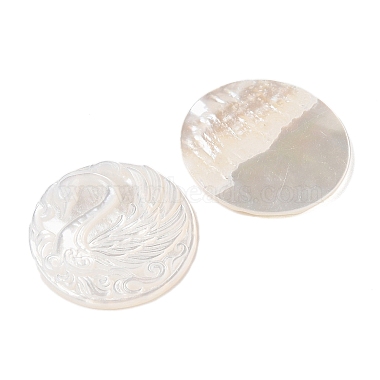 Natural White Shell Cabochons(SSHEL-C012-10)-2