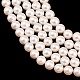 Electroplated Shell Pearl Beads Strands(BSHE-C011-01B)-3