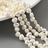 Natural Cultured Freshwater Pearl Beads Strands, Top Drilled, Two Sides Polished, Grade 3A, Old Lace, 5~5.5mm, Hole: 0.5mm, about 35pcs/strand, 6.89 inch(17.5cm)(PEAR-A006-17A)