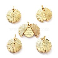Brass Micro Pave Clear Cubic Zirconia Openable Pendants, Long-Lasting Plated, Flower with Word You're My Ray of Sunshine, Real 18K Gold Plated, 18x18x7mm, Hole: 5mm(KK-D004-14G)