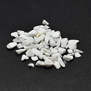 Howlite Chip Beads, No Hole/Undrilled, 2~8x2~4mm, about 8500pcs/500g(G-O103-20)