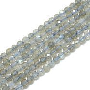 Natural Labradorite Beads Strands, Faceted, Round, 3~3.5mm, Hole: 0.3mm, about 128pcs/strand, 14.9 inch(G-S300-23-3mm)