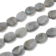 Natural Labradorite Beads Strands, Frosted, Egg Shape, 19~21x14~15x5~6mm, Hole: 1mm, about 20~22pcs/strand, 15.75 inch(40cm)(G-I291-C03)