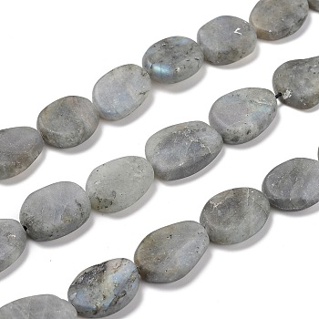 Natural Labradorite Beads Strands, Frosted, Egg Shape, 19~21x14~15x5~6mm, Hole: 1mm, about 20~22pcs/strand, 15.75 inch(40cm)