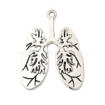 Tibetan Style Alloy Pendants, Lung Charms, Lead Free & Cadmium Free, Antique Silver, 39x29.5x2mm, Hole: 2.2mm, about 208pcs/1000g(PALLOY-F318-07AS)