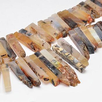 Natural Dendritic Agate Beads Strands, 25~73x5~12x6~10mm, Hole: 1mm, about 40pcs/strand, 15.3 inch