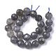 Natural Labradorite Beads Strands(G-S345-6mm-005)-2