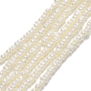 Natural Cultured Freshwater Pearl Beads Strands, Keshi Pearl Beads, Nuggets, Linen, 1.5~2x1.5~2x1mm, Hole: 0.5mm, about 380~395pcs/strand, 14.84~15.55''(37.7~39.5cm)(PEAR-A005-28)