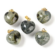 Natural Prehnite Pendants, Heart Charms with Brass Snap on Bails, Golden, 18x15.5x10mm, Hole: 5x3mm(G-J386-H17-G)