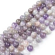 Gemstone Beads Strands, Natural Grade B Amethyst, Round, Purple, 8mm, Hole: 1mm, about 50pcs/strand(G-S024)