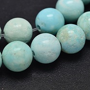 Natural Howlite Beads Strands, Dyed & Heated, Round, Turquoise, 4mm, Hole: 1mm, about 95pcs/strand, 15.5 inch(39.4cm)(TURQ-P027-17-4mm)
