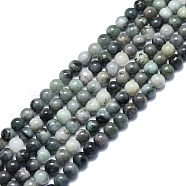 Natural Emerald Quartz Beads Strands, Round, 8.5mm, Hole: 1mm, about 48pcs/strand, 15.35 inch(39cm)(G-F715-104B)