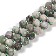 Natural Peace Jade Beads Strands, Faceted, Rondelle, with Seed Beads, 7.5~8x6.5mm, Hole: 1.4mm, about 45~46pcs/strand, 15.75''(40cm)(G-H057-A10-01)