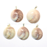 Shell Fossil Pendants, with Brass Findings, Silver, 33~52x32~45x10~16mm, Hole: 6x5mm(G-R275-38)