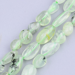 Natural Prehnite Beads Strands, Tumbled Stone, Nuggets, 5~13x5~10x3~8mm, Hole: 1mm, about 40~60pcs/strand, 14.57 inch~15.74 inch(37~40cm)(G-S359-168)