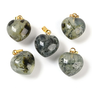 Natural Prehnite Pendants, Heart Charms with Brass Snap on Bails, Golden, 18x15.5x10mm, Hole: 5x3mm