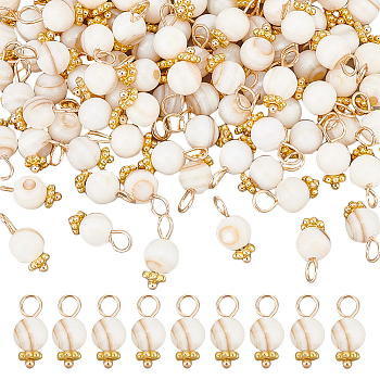100Pcs Natural Freshwater Shell Charms, with Golden Tone Alloy & Brass Findings, Round, Old Lace, 12.5x6mm, Hole: 3mm
