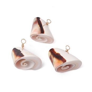 Natural Shiva Eye Shell Pendants, Shell Shape Charms with Light Gold Copper Loops, Coconut Brown, 24~25x24~31x17~20mm, Hole: 3mm