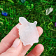 Natural Quartz Crystal Display Decorations(G-PW0004-41G)-1