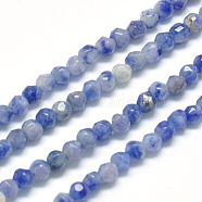 Natural Sodalite Beads Strands, Faceted, Round, Blue, 2mm, Hole: 1mm(G-J002-09)